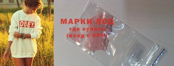 гидра Арсеньев