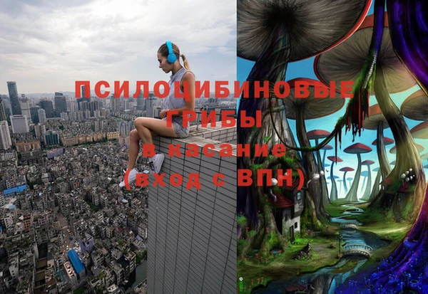тгк Армянск