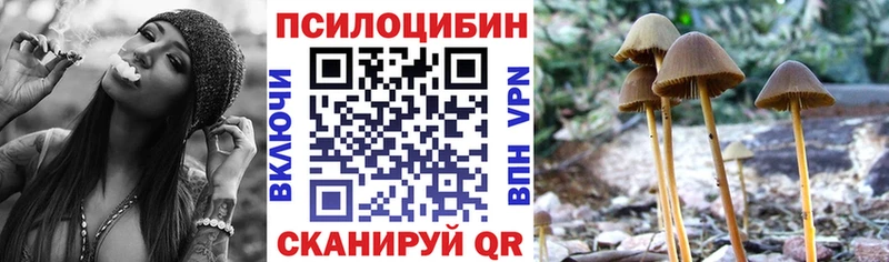 Галлюциногенные грибы MAGIC MUSHROOMS  где продают   Енисейск 